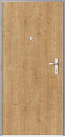 Dveře NEXT SMART Dveře NEXT SMART